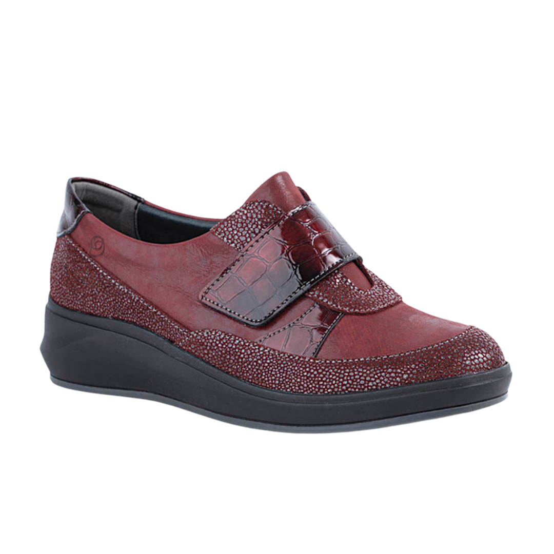 zapato caballero
